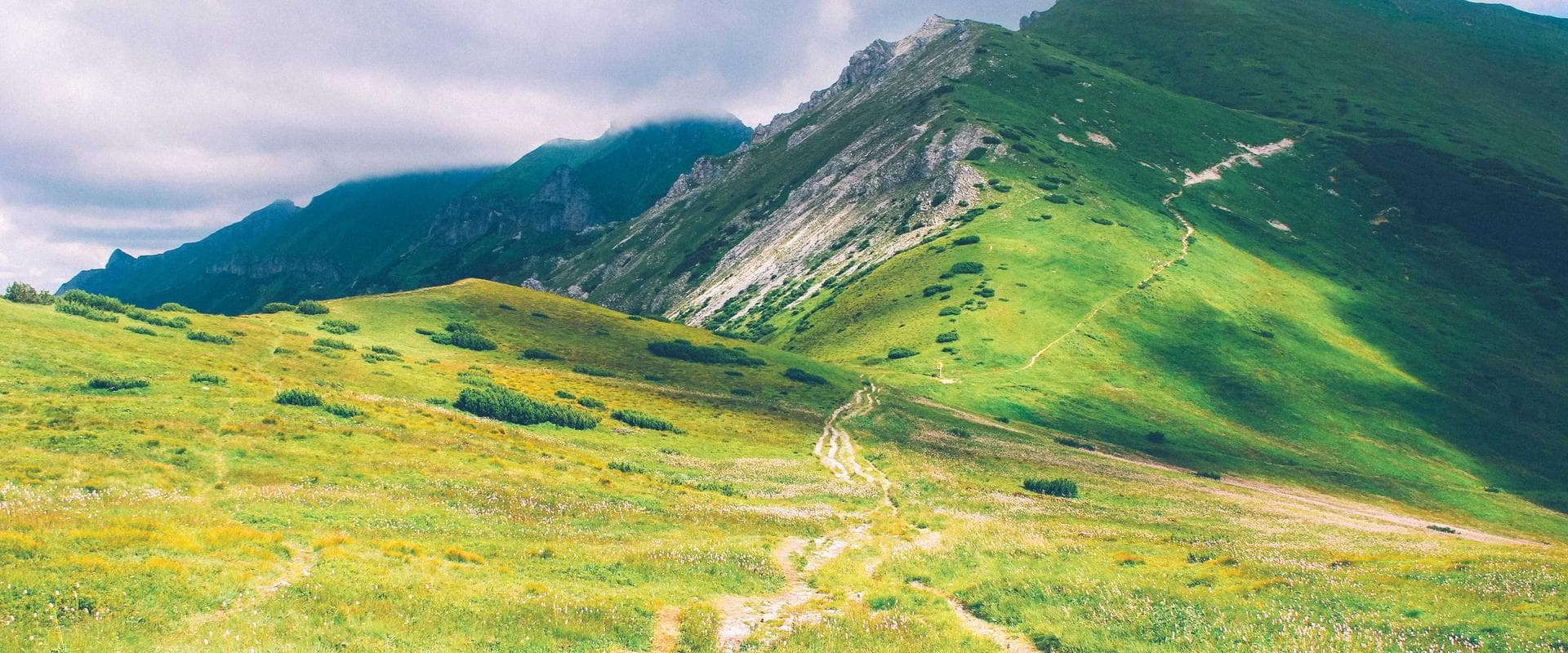 Uitgestrekte groene alpenweide met een zandpad dat omhoog leidt naar ruige, wolkenrijke bergen.